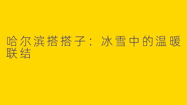 哈尔滨搭搭子:冰雪中的温暖联结
