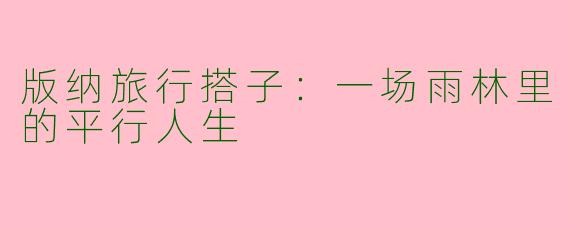 版纳旅行搭子:一场雨林里的平行人生