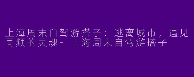 上海周末自驾游搭子:逃离城市,遇见同频的灵魂-上海周末自驾游搭子
