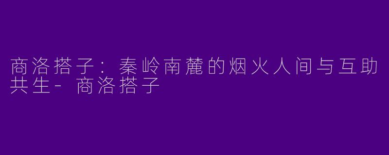 商洛搭子:秦岭南麓的烟火人间与互助共生-商洛搭子