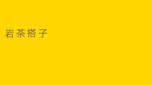岩茶搭子