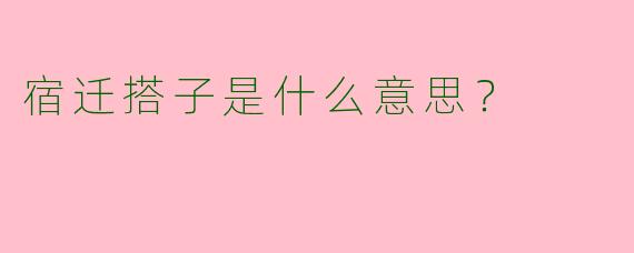宿迁搭子是什么意思？