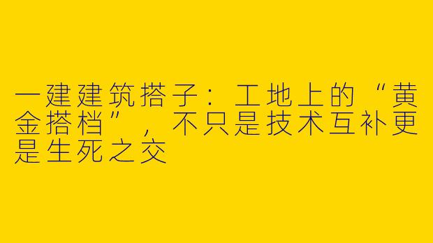 一建建筑搭子:工地上的“黄金搭档”,不只是技术互补更是生死之交