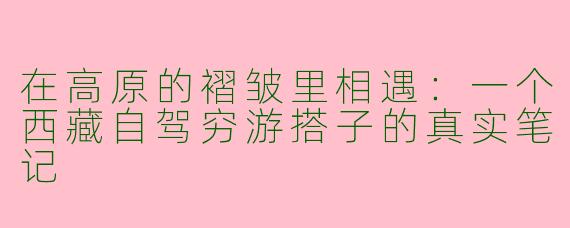 在高原的褶皱里相遇:一个西藏自驾穷游搭子的真实笔记