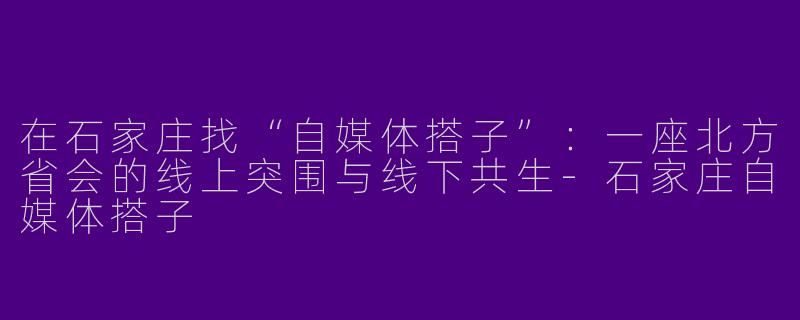 在石家庄找“自媒体搭子”:一座北方省会的线上突围与线下共生-石家庄自媒体搭子