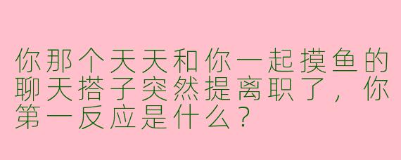 你那个天天和你一起摸鱼的聊天搭子突然提离职了，你第一反应是什么？