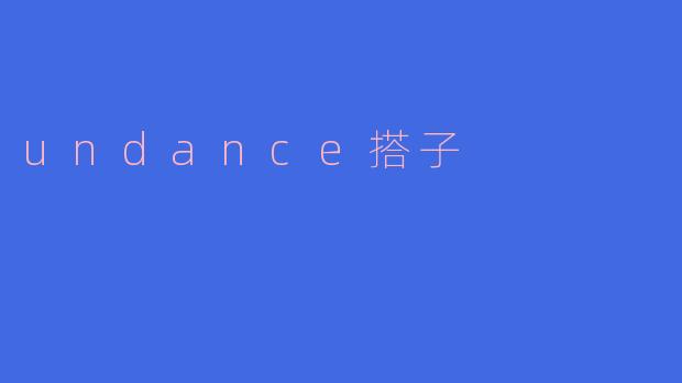 undance搭子