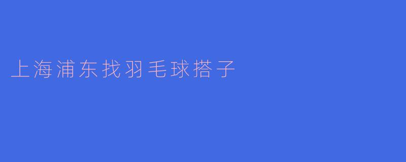 上海浦东找羽毛球搭子