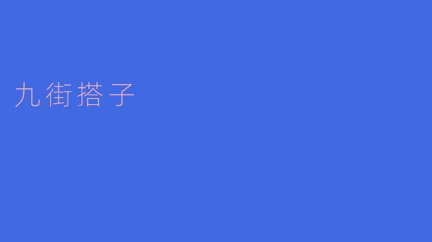 九街搭子