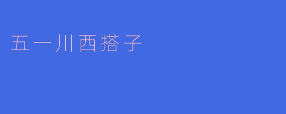五一川西搭子
