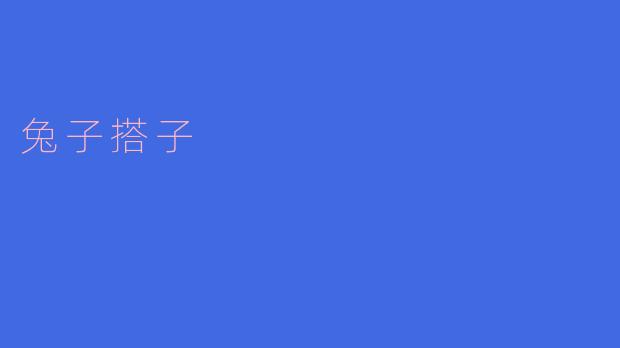 兔子搭子