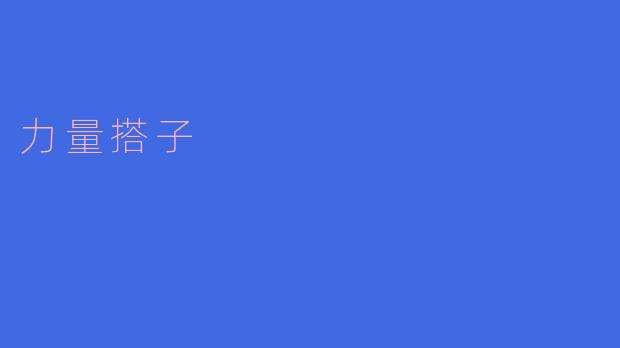 力量搭子
