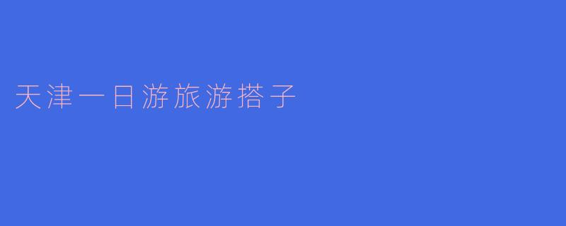 天津一日游旅游搭子