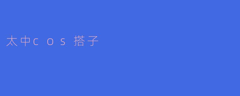 太中cos搭子