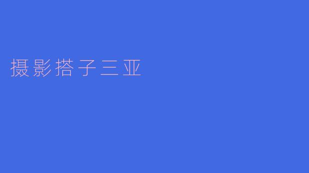 摄影搭子三亚