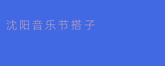 沈阳音乐节搭子