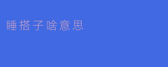 睡搭子啥意思