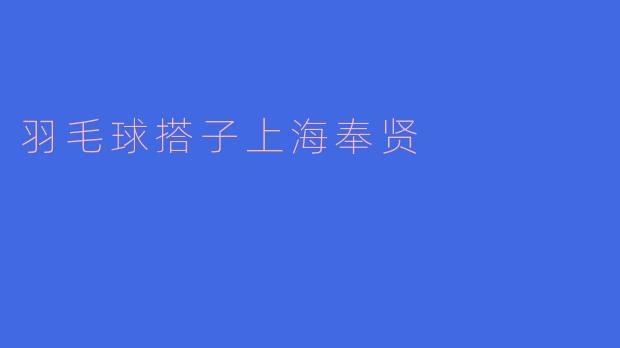 羽毛球搭子上海奉贤