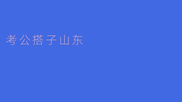 考公搭子山东