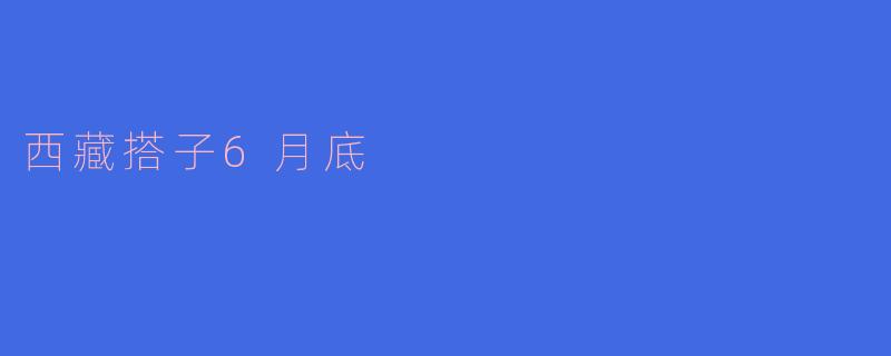 西藏搭子6月底