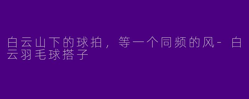 白云山下的球拍,等一个同频的风-白云羽毛球搭子