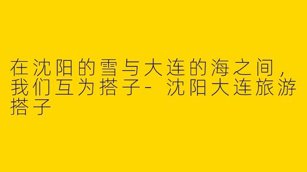 在沈阳的雪与大连的海之间,我们互为搭子-沈阳大连旅游搭子