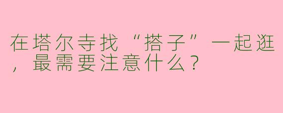 在塔尔寺找“搭子”一起逛,最需要注意什么?