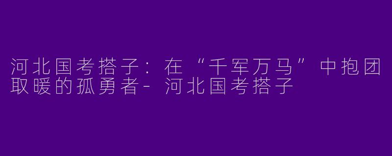 河北国考搭子:在“千军万马”中抱团取暖的孤勇者-河北国考搭子