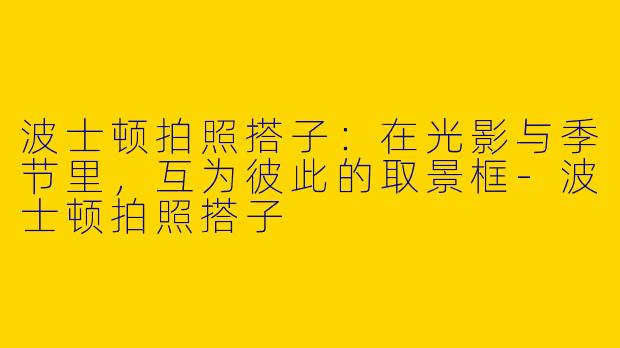 波士顿拍照搭子：在光影与季节里，互为彼此的取景框-波士顿拍照搭子