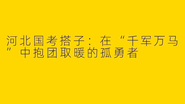 河北国考搭子:在“千军万马”中抱团取暖的孤勇者
