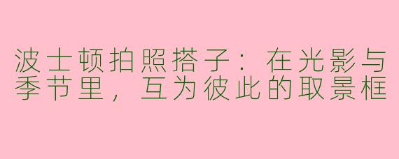 波士顿拍照搭子：在光影与季节里，互为彼此的取景框