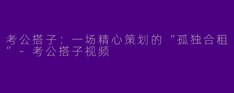 考公搭子:一场精心策划的“孤独合租”-考公搭子视频