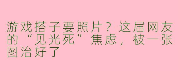 游戏搭子要照片?这届网友的“见光死”焦虑,被一张图治好了