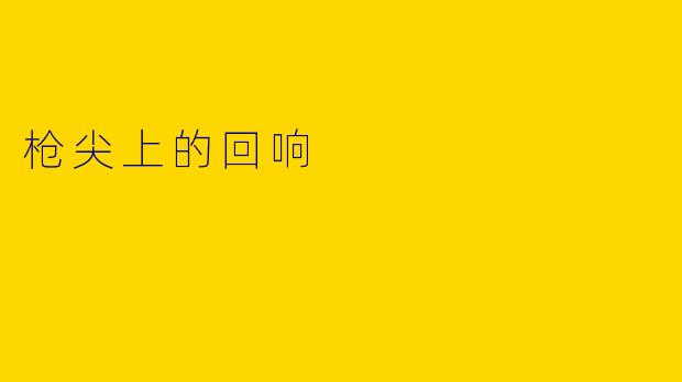 枪尖上的回响