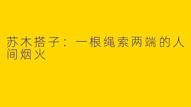 苏木搭子:一根绳索两端的人间烟火