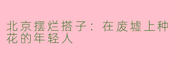 北京摆烂搭子:在废墟上种花的年轻人