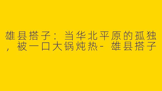 雄县搭子:当华北平原的孤独,被一口大锅炖热-雄县搭子
