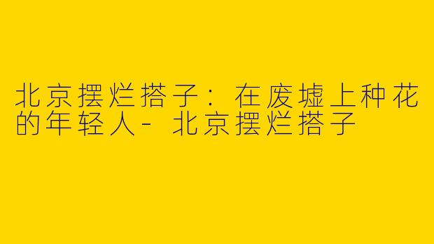 北京摆烂搭子:在废墟上种花的年轻人-北京摆烂搭子