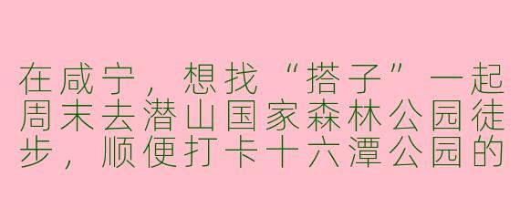 在咸宁,想找“搭子”一起周末去潜山国家森林公园徒步,顺便打卡十六潭公园的樱花大道,有什么靠谱的渠道和注意事项吗?