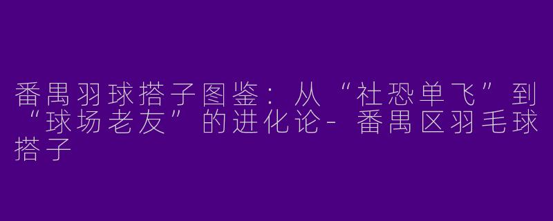 番禺羽球搭子图鉴:从“社恐单飞”到“球场老友”的进化论-番禺区羽毛球搭子