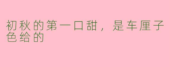 初秋的第一口甜,是车厘子色给的