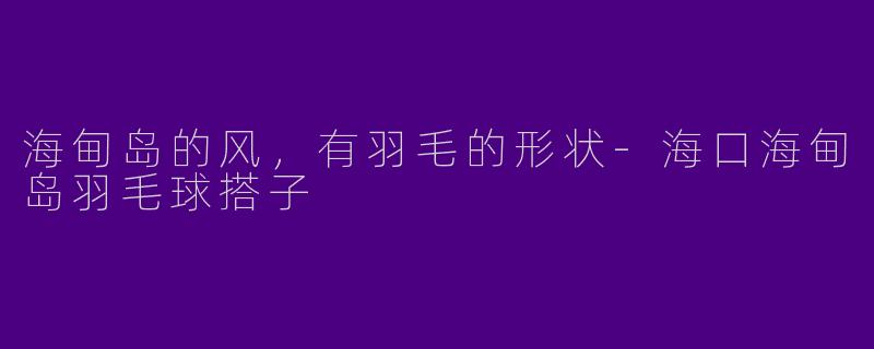 海甸岛的风,有羽毛的形状-海口海甸岛羽毛球搭子