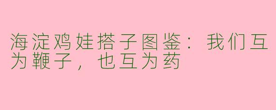 海淀鸡娃搭子图鉴:我们互为鞭子,也互为药