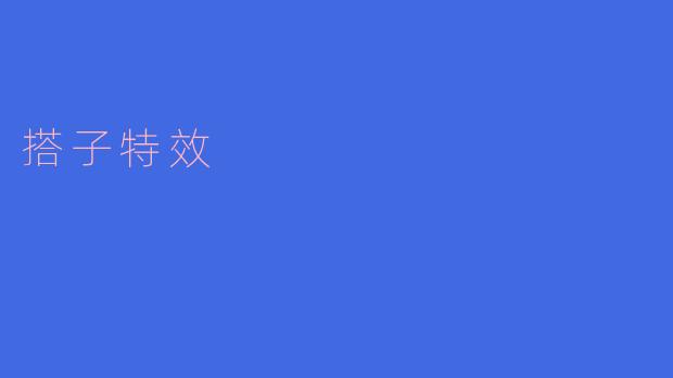 搭子特效