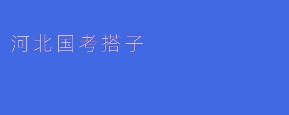 河北国考搭子