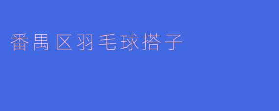 番禺区羽毛球搭子